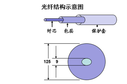 光纤结构示意图