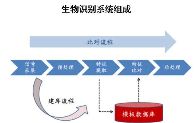 生物识别系统组成