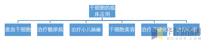 干细胞的临床应用机理