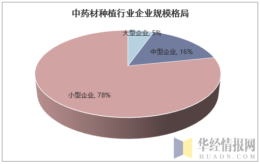 中药材种植行业企业规模格局