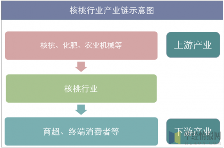 核桃行业产业链示意图