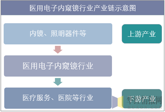 电子内窥镜上游设备产业链