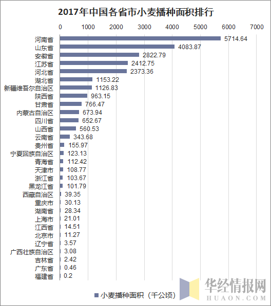 2017年中国各省市小麦播种面积排行