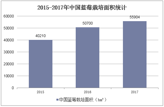 2015-2017年中国蓝莓栽培面积统计