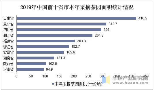 2019年中国前十省市本年采摘茶园面积统计情况