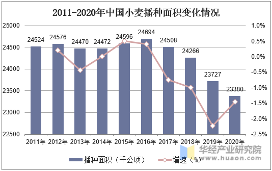2011-2020年中国小麦播种面积变化情况