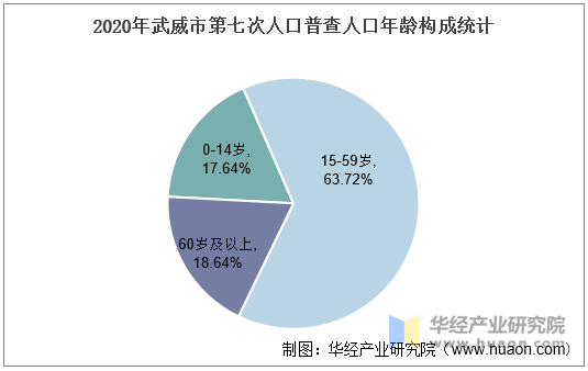 2020年武威市第七次人口普查人口年龄构成统计