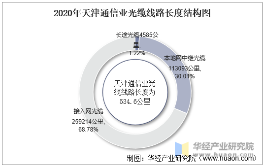 2020年天津通信业光缆线路长度结构图