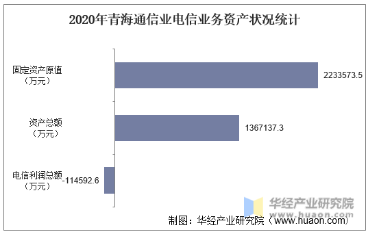 2020年青海通信业电信业务资产状况统计