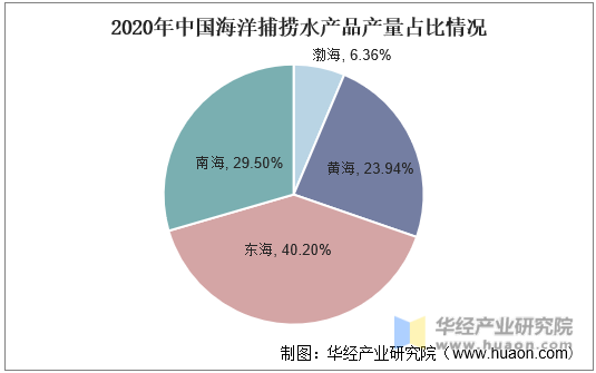 2020年中国海洋捕捞水产品产量占比情况