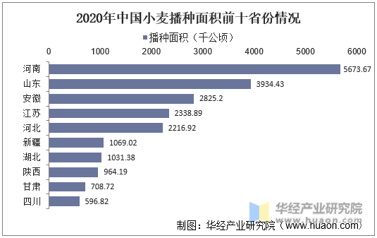 2020年中国小麦播种面积前十省份情况