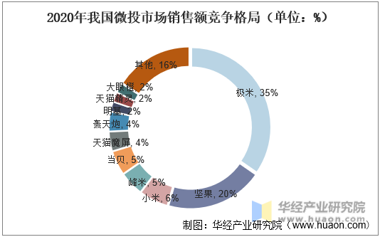 2020年我国微投市场销售额竞争格局（单位：%）