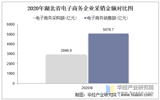 2020年湖北省电子商务企业采销金额对比图