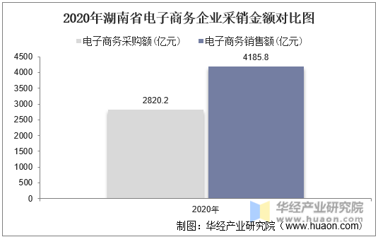 2020年湖南省电子商务企业采销金额对比图