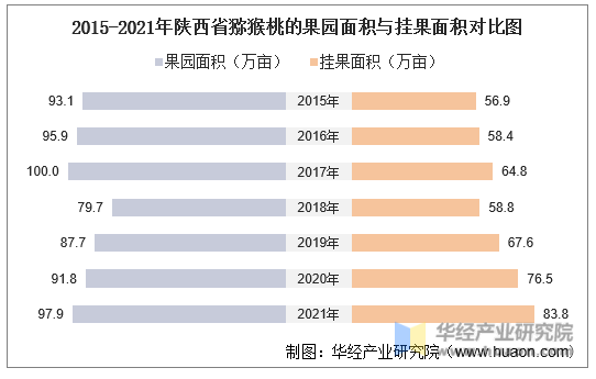2015-2021年陕西省猕猴桃的果园面积与挂果面积对比图