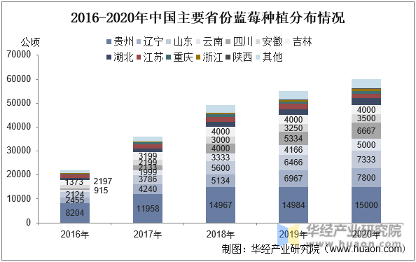 2016-2020年中国主要省份蓝莓种植分布情况