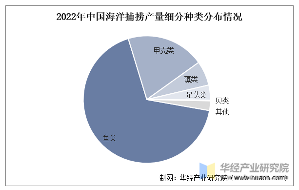 2022年中国海洋捕捞产量细分种类分布情况