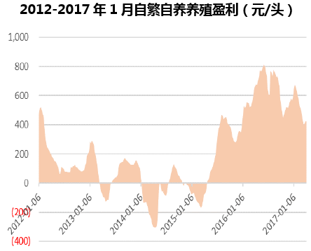 2012-2017年1月自繁自养养殖盈利（元/头）