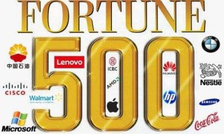 2017年财富世界500强其他行业公司排名