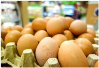 “毒鸡蛋”蔓延16国 比利时、荷兰、德国打起“口水仗”比利时当局被指知情不报
