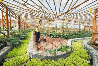2018年中国有机农业行业未来趋势预测分析及投资规划研究建议