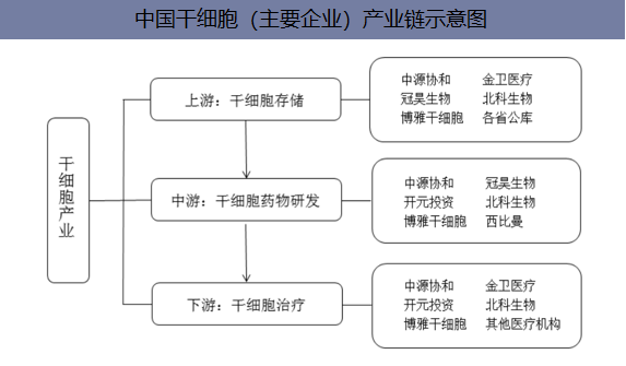 中国干细胞（主要企业）产业链示意图
