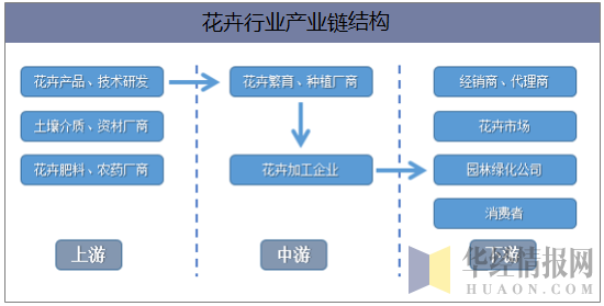 花卉行业产业链