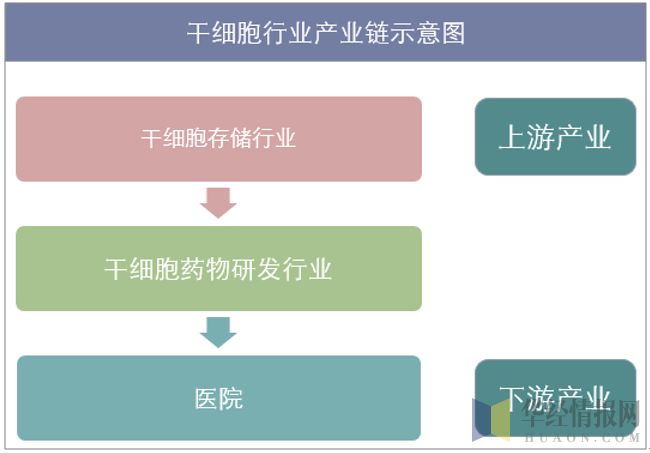 干细胞产业链示意图