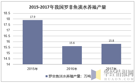 2015-2017年我国罗非鱼淡水养殖产量