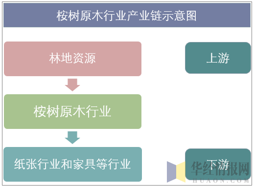 桉树原木行业产业链示意图