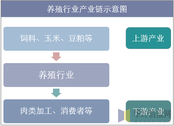 养殖行业产业链示意图