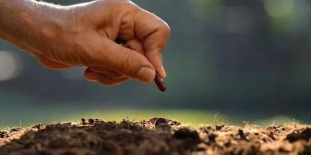 2018年中国土壤修复行业发展现状及前景展望，土壤修复市场将进入快速发展期「图」