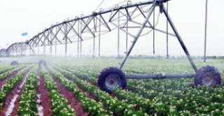 2018年山东省农业经济发展及农产品产量分析，生态农业发展成效显著「图」