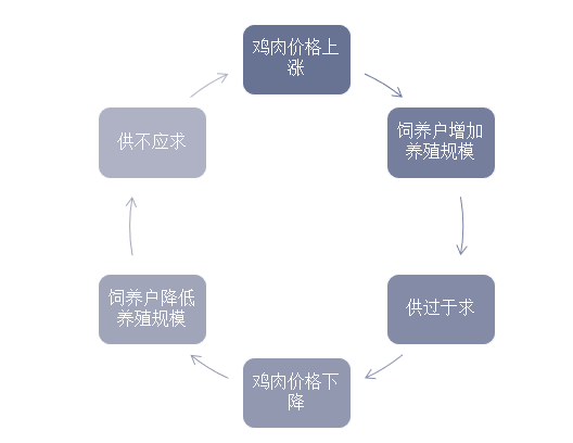 肉鸡养殖及屠宰加工行业的周期性