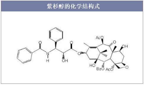 紫杉醇的化学结构式
