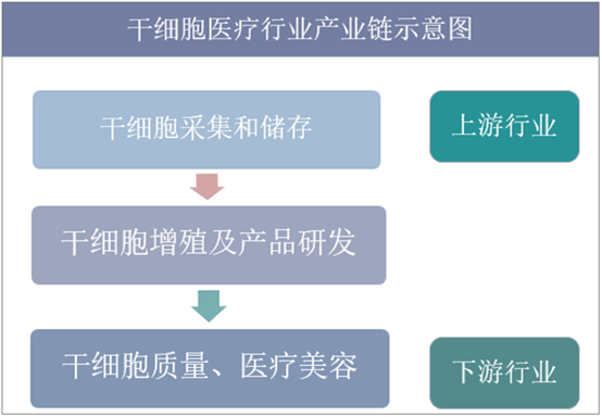 干细胞医疗行业产业链示意图