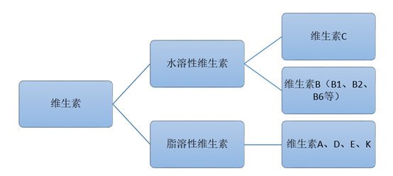 维生素的细分种类