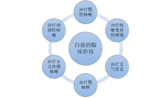 白前的临床作用分析