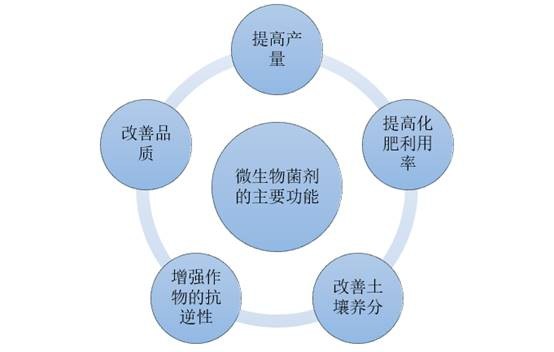 微生物菌剂的主要功能