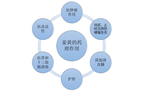 姜黄的药理作用分析