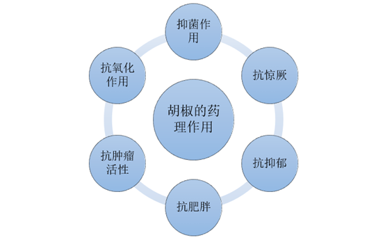 胡椒的药理作用分析