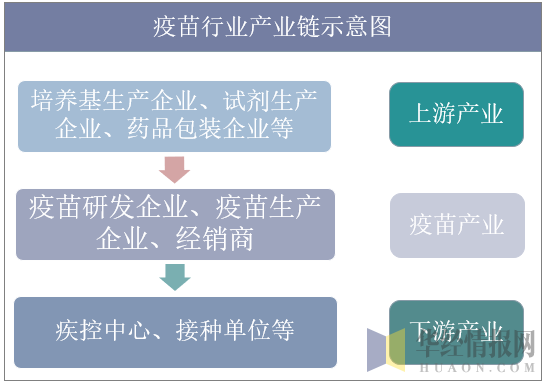 疫苗行业产业链示意图