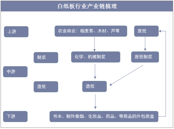 白纸板行业产业链梳理