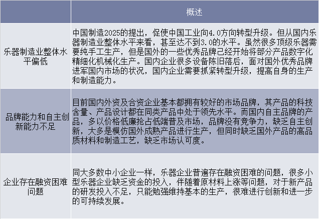 我国乐器行业发展中的问题