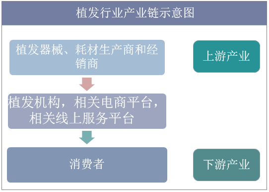 植发行业产业链示意图