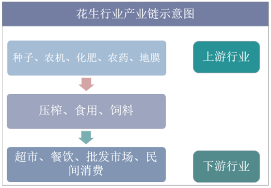 花生行业产业链示意图