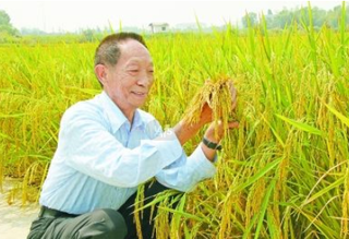 2018年我国杂交水稻种业增长趋于平滑，制种面积和产量增速下滑「图」