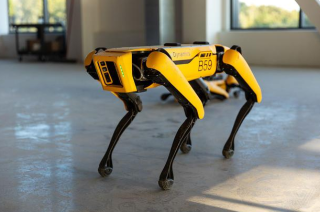 波士顿动力机器人学会360度翻跟头 黄狗款即将开卖