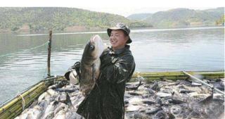 2019年河北省渔业经济总产值及细分产业产值分析，休闲渔业发展迅速「图」