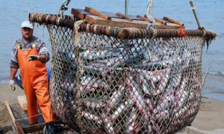 2019年江西省渔业经济总产值、渔业工业和建筑业及渔业流通和服务业分析「图」